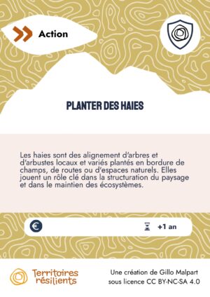 Planter des haies