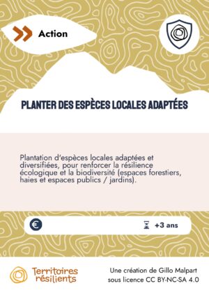 PO19-Planter des espèces locales adaptées_Mavana
