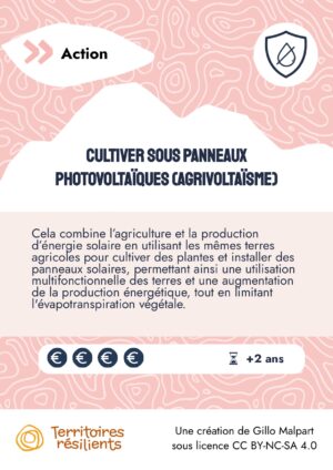 PO43-Cultiver sous panneaux photovoltaïques (agrivoltaïsme)_Mavana