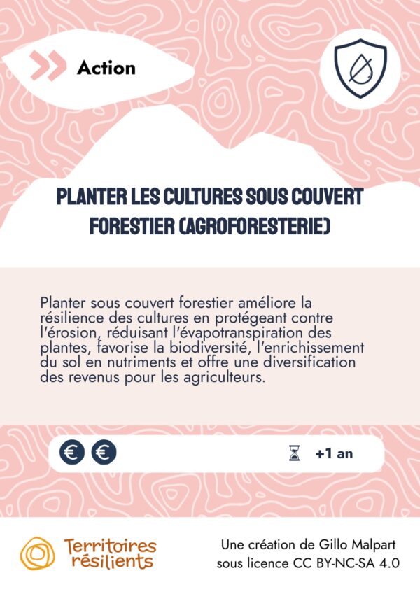 PO51-Planter les cultures sous couvert forestier (agroforesterie)_Mavana